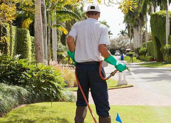 About Kyle SD Pest Control